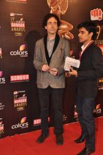 at Screen Awards red carpet in Mumbai on 12th Jan 2013 (278).JPG